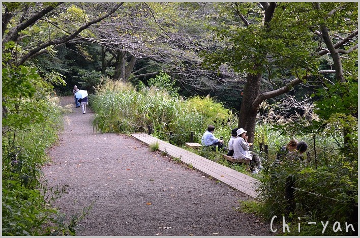 都心のオアシス 「自然教育園」_e0219011_19585659.jpg