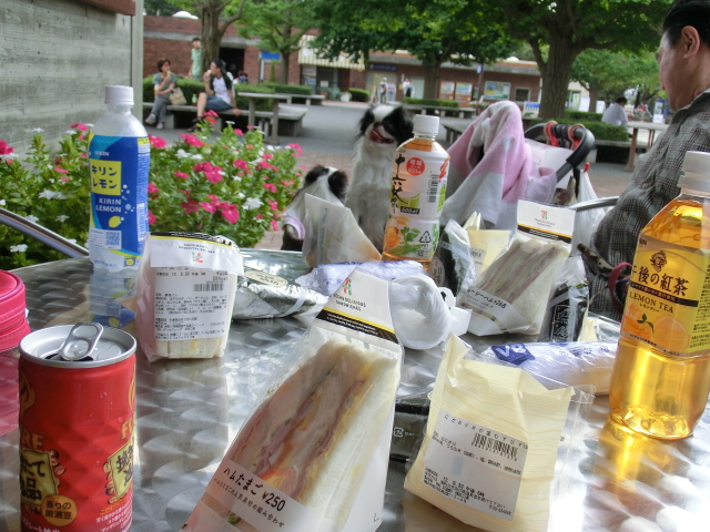 c0200916_23252541.jpg