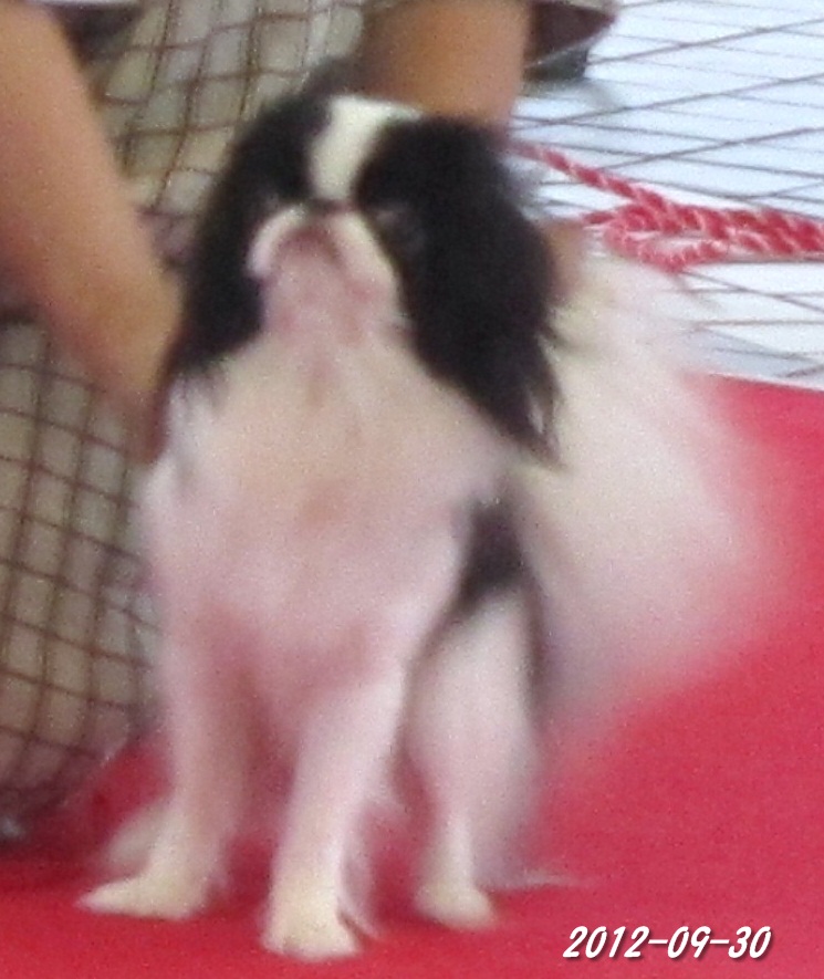 c0200916_23323843.jpg