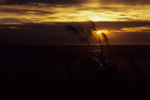 夕陽の海で終わる_b0259218_0154756.jpg