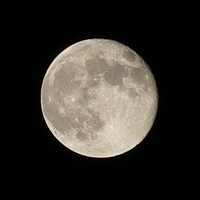 a0260019_0113125.jpg