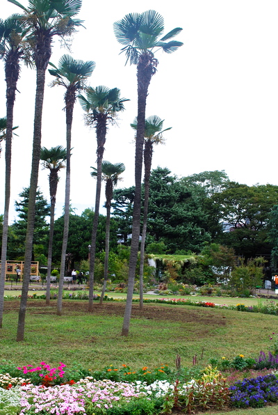 a0113920_2224327.jpg