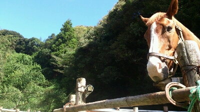 b0187620_2211461.jpg