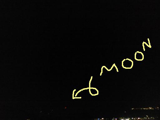 c0097620_20121254.jpg