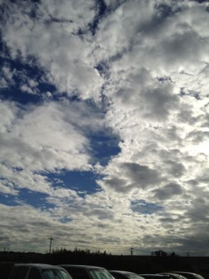 f0200221_0184399.jpg