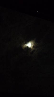 f0200221_0184433.jpg