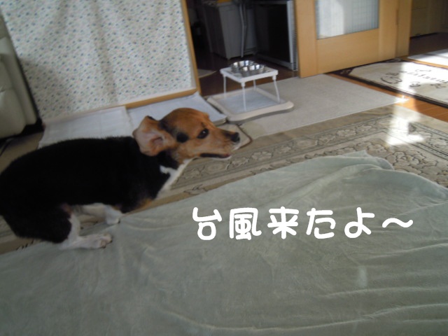 c0166622_11525439.jpg