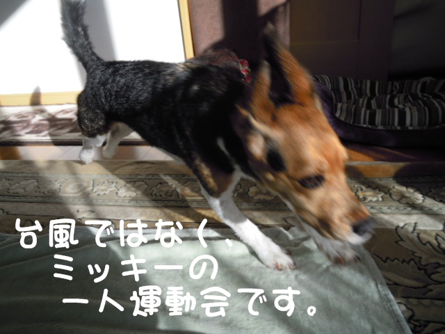c0166622_11553836.jpg