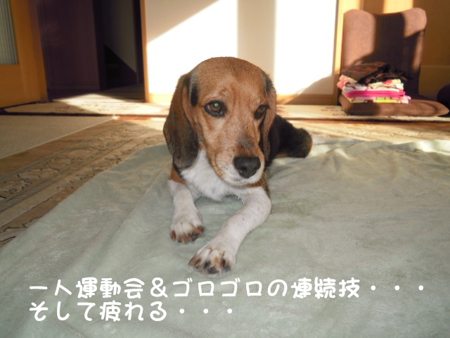 c0166622_11581320.jpg