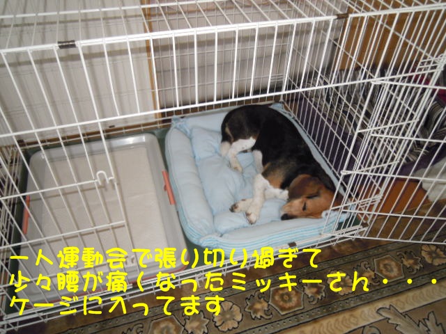 c0166622_1281142.jpg