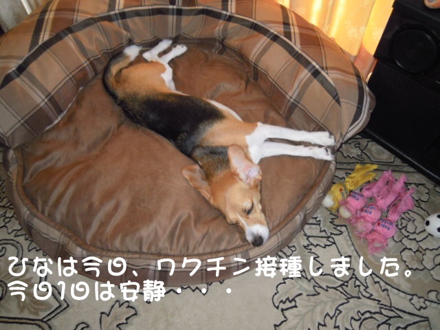 c0166622_1282396.jpg