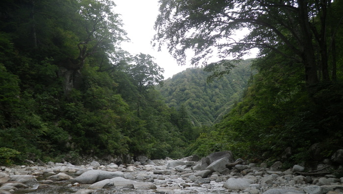 d0269923_20172769.jpg