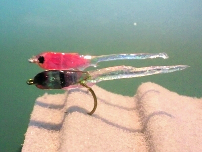 b0259124_720073.jpg