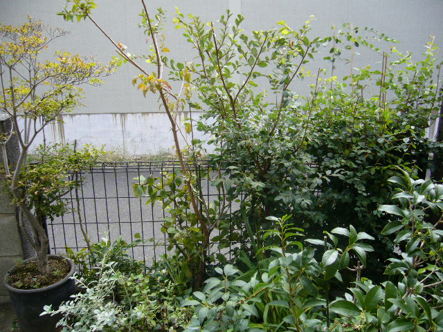 d0000324_13212875.jpg