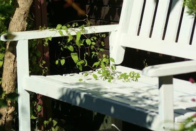 f0170524_2002164.jpg