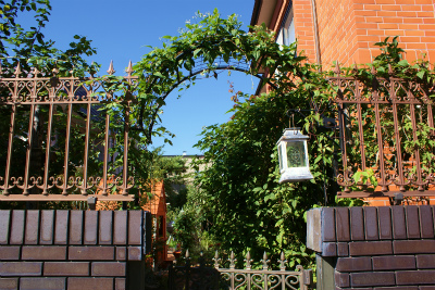 f0170524_2014021.jpg