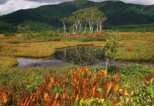 b0093625_10274579.jpg
