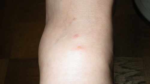 c0162128_130049.jpg