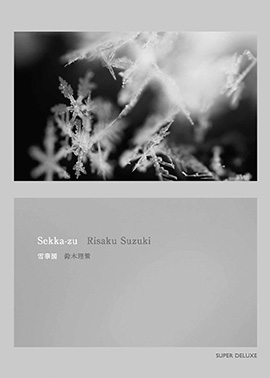 鈴木理策氏 出版のお知らせ_b0187229_13385666.jpg