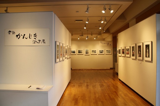 東川町文化ギャラリー展示情報_b0187229_13471933.jpg