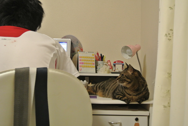 家族には・・・(おまけ付)_a0099131_0434625.jpg