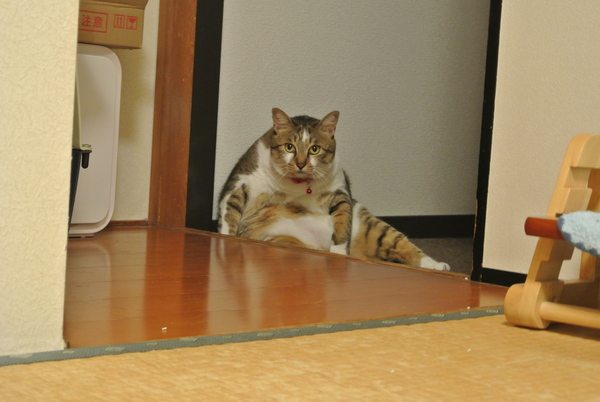 家族には・・・(おまけ付)_a0099131_0453872.jpg