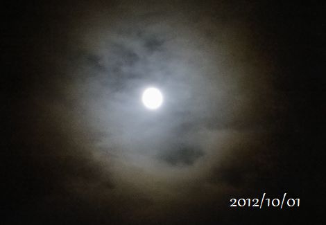 f0196231_21531057.jpg