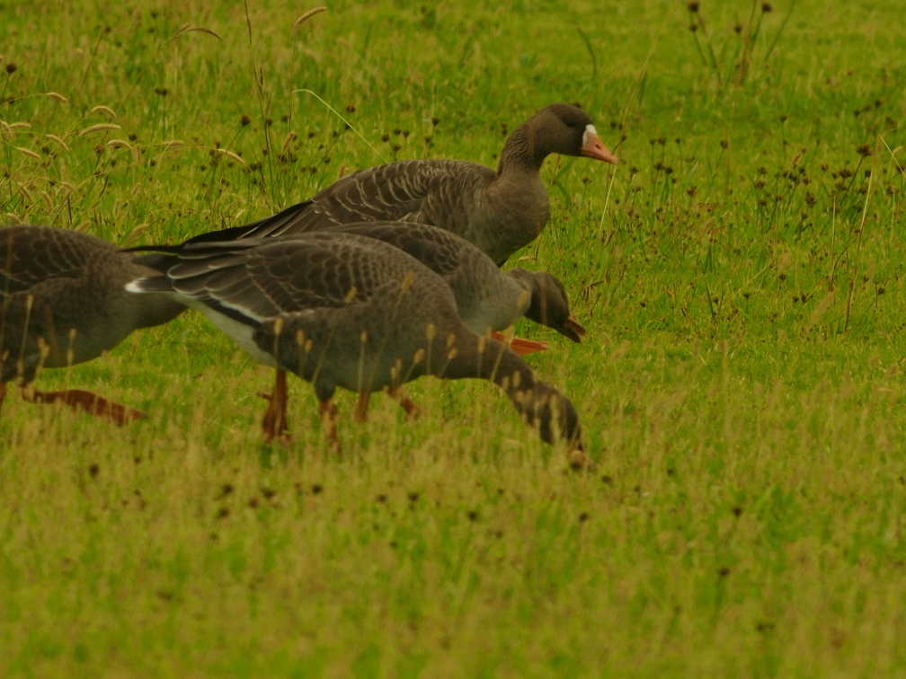 b0201233_19133145.jpg