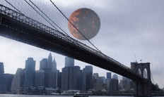 b0213435_17412338.gif