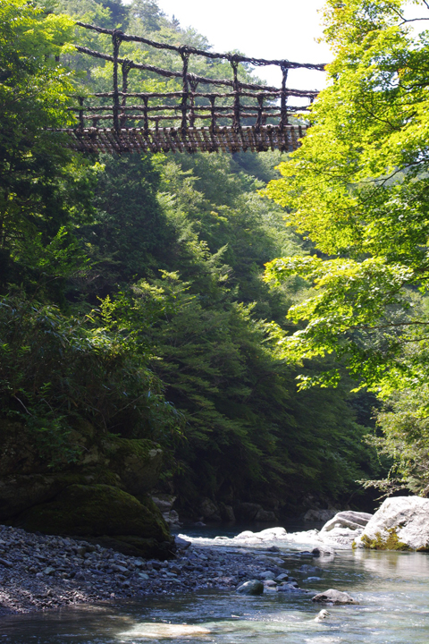 f0008935_93972.jpg
