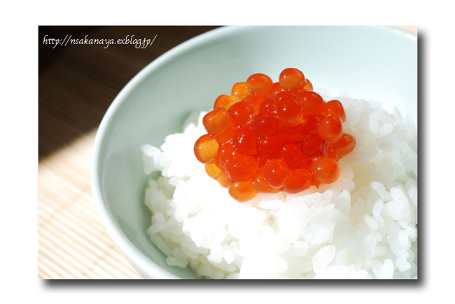 すじこ飯 塩筋子ヤバイ I Just Can T Stop 魚屋三代目日記 すじこ飯 塩筋子ヤバイ I Just Can T Stop 魚屋三代目日記