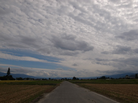 青空と鱗雲_a0014840_2262226.jpg