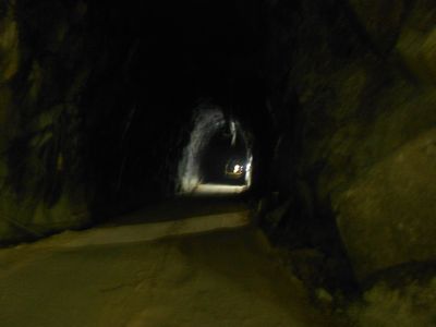 d0136540_705059.jpg
