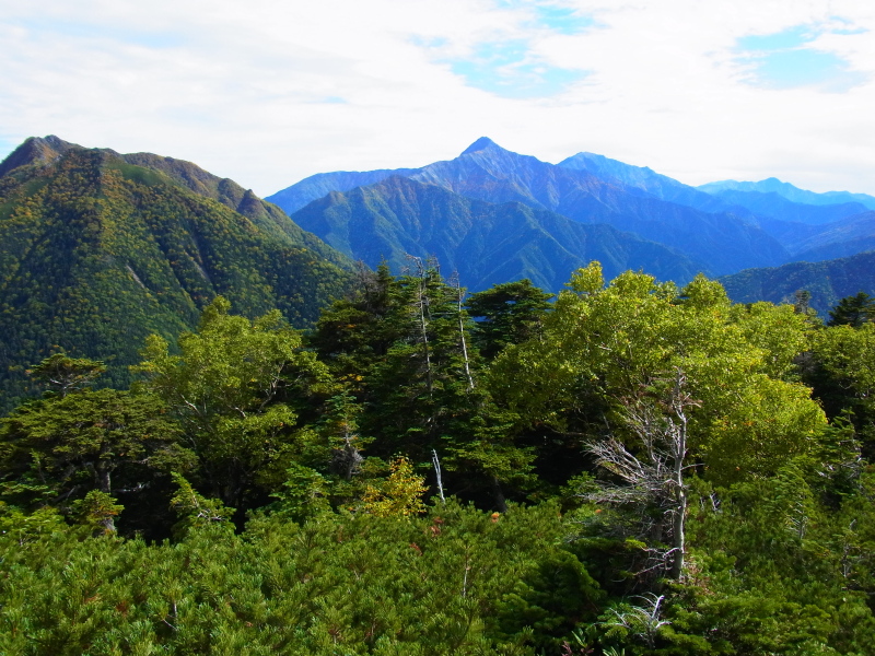 b0190242_13143746.jpg