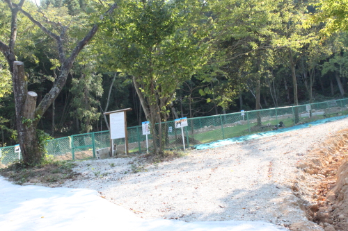 d0175746_22441522.jpg