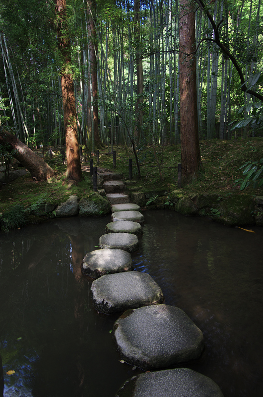 初秋・天授庵（南禅寺塔頭）_f0155048_23211664.jpg