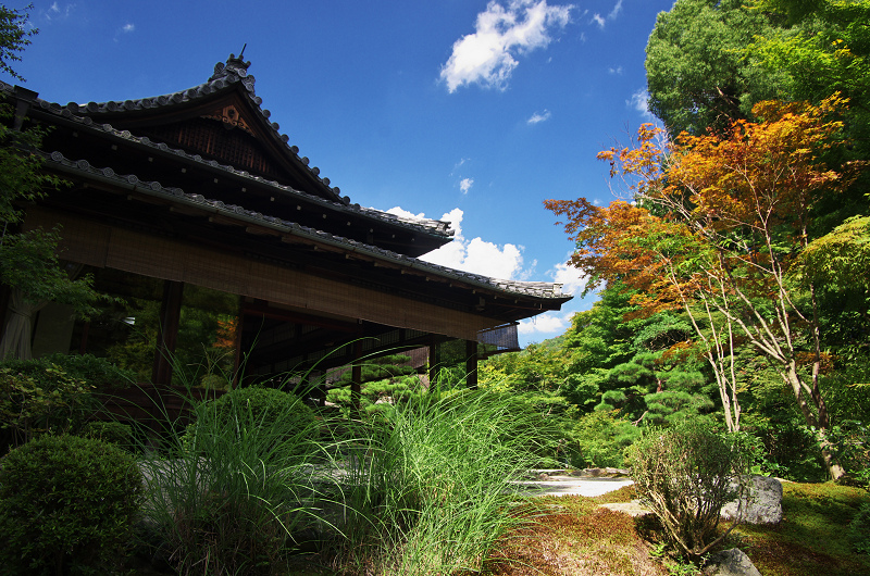 初秋・天授庵（南禅寺塔頭）_f0155048_2321586.jpg