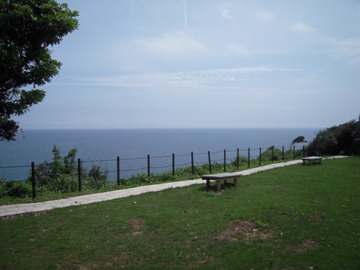 d0049152_16351591.jpg