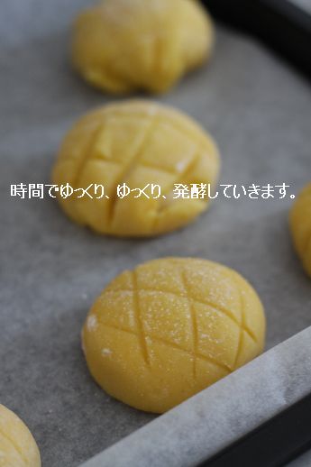 バケット&高加水リュス 酵母基本ぱんレッスン_c0162653_1111637.jpg