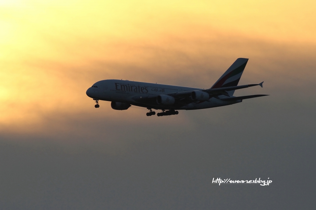 Emirates A380(･∀･)_f0136656_229165.jpg