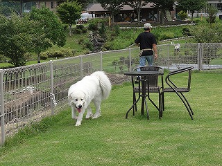 a0201257_21583873.jpg
