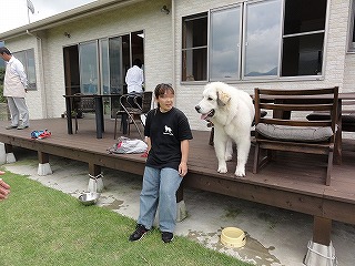 阿蘇望の郷・・・台風のあとで（＇▽＇*）　･･･_a0201257_2159657.jpg