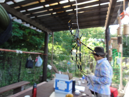 どんぐり拾い in せんなん里海公園_c0108460_2022793.jpg