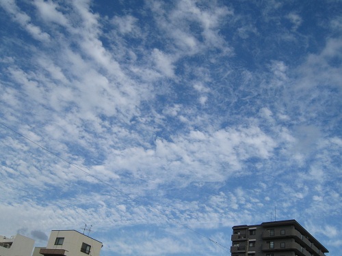 d0164761_19463233.jpg