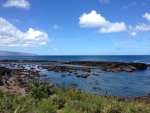 c0022164_22205520.jpg