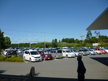 d0177266_10328100.png