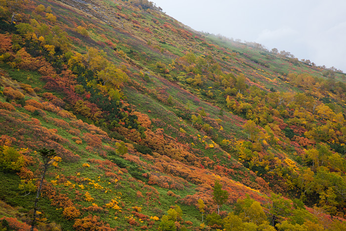 赤岳 雨の銀泉台 12紅葉 あ した天気になぁ れ