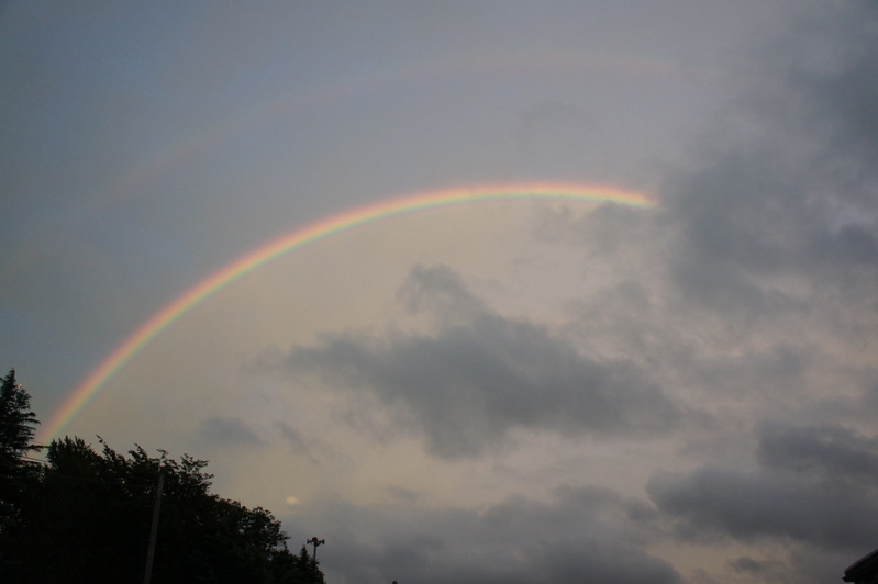 虹-rainbow　　2012.9.19_e0223771_13565847.jpg