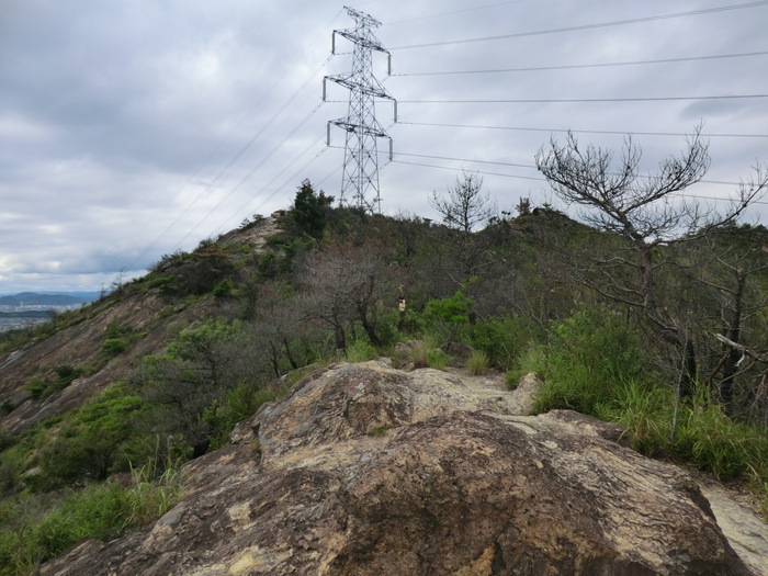 b0185573_15242498.jpg