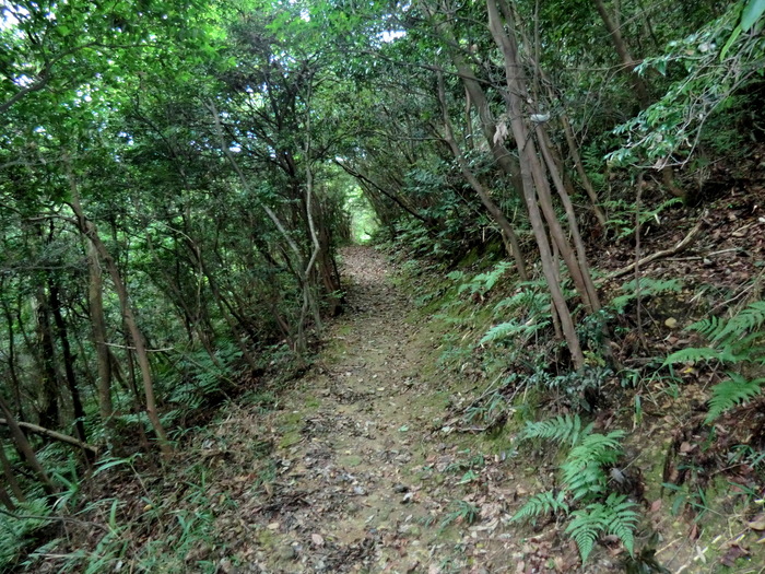 b0185573_1544570.jpg